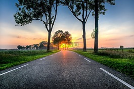 日落,路,树