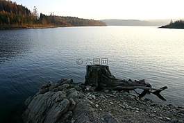 壩,湖,樹墩