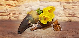 鮮花,郁金香,黃色