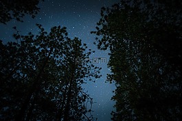 黑暗,夜,星星