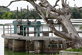 池塘,漂流,春天