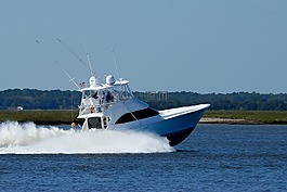 《憲章》釣魚,游釣,運動