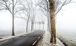 冬天,路,現(xiàn)場(chǎng)