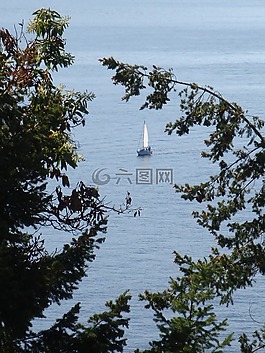 帆船,海洋,岸