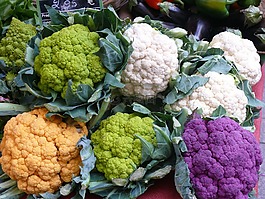 菜花,豐富多彩,蔬菜