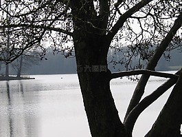 對(duì)比,灰色陰影,冬天