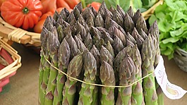 蘆筍,santena,長矛