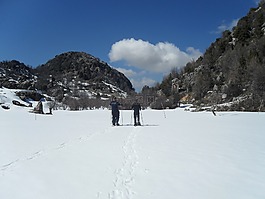 雪,滑雪,白
