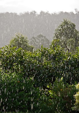 冰雹,雨,天氣