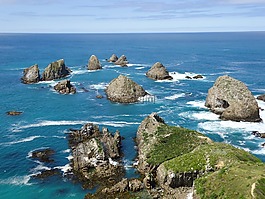 太平洋,新西蘭,海岸線