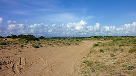 海灘,假期,海邊