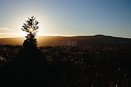 山,高原,日出