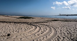海灘,沙灘,沙