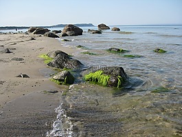 波羅的海,海灘,性質(zhì)