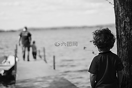 海,海洋,水