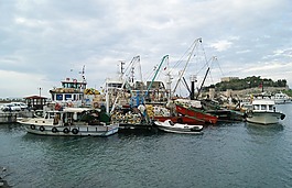船,漁,海洋