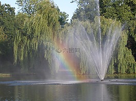 彩虹,水,池塘