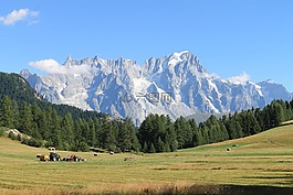 山,場(chǎng),農(nóng)業(yè)