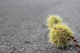 紋理,結(jié)構(gòu),背景