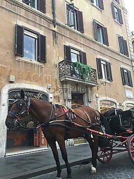 羅馬,馬,馬車