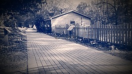 烏賊,克萊姆森,走道