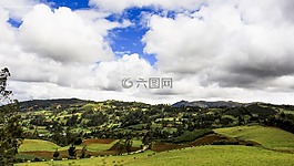 性質(zhì),秘魯,綠色