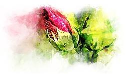 花,多彩,水彩
