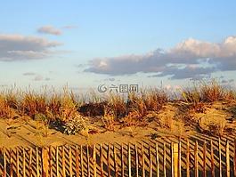 沙丘,海灘,沙