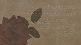 紅玫瑰,背景有紅玫瑰,老