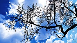 天空,云,藍色