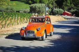 雪鐵龍2cv,變種,班多爾