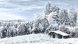 冬天,雪,降雪