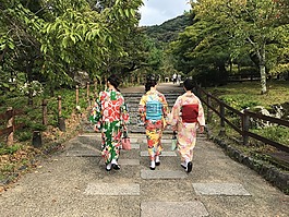 和服,日本,京都