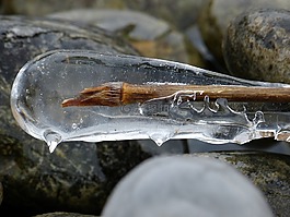 冰,凍結,水