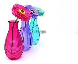 花瓶,玻璃,豐富多彩