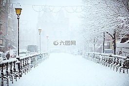 雪,冬天,白