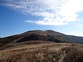 bieszczady,在賽道上,線索