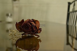 羅莎,浪漫,愛情