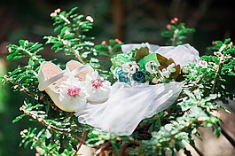 嬰兒,shos,甜