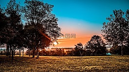 日出,夏天,土地