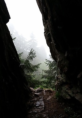 自然,巖,野生