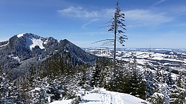 阿爾高,冬天,雪