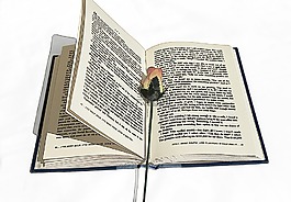 書,羅莎,繪圖