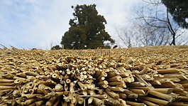城堡,日本,結(jié)構(gòu)