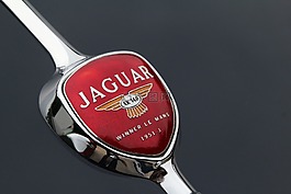 捷豹,oldtimer,汽車