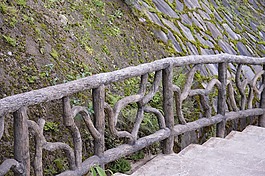 籬笆,木材,苔