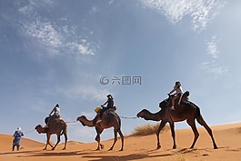 沙漠,撒哈拉,砂