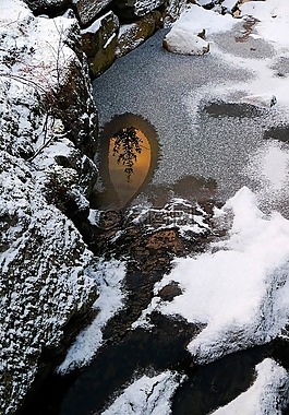 雪,冬天,白