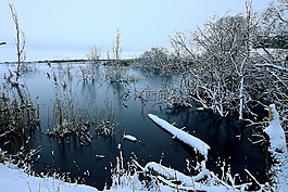 冬季,雪,弗羅斯特