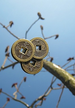 硬幣,中文,樹